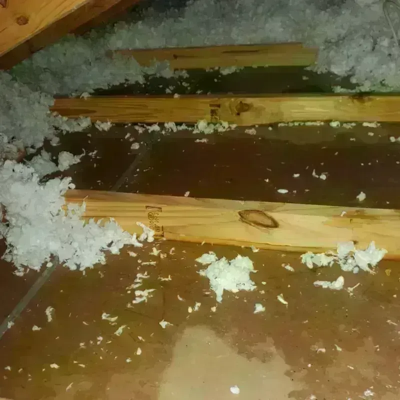 Attic Water Damage in Chelmsford, MA